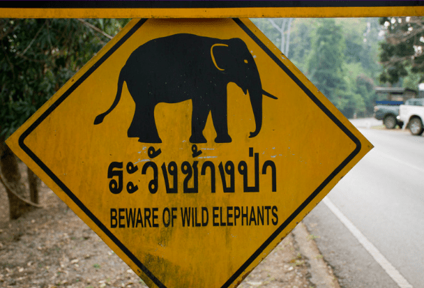 Elephant Sign